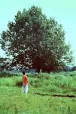 映画 ロビンソンの庭 (1987) - allcinema