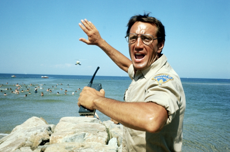 ピーター ベンチリー Peter Benchley について 映画データベース Allcinema