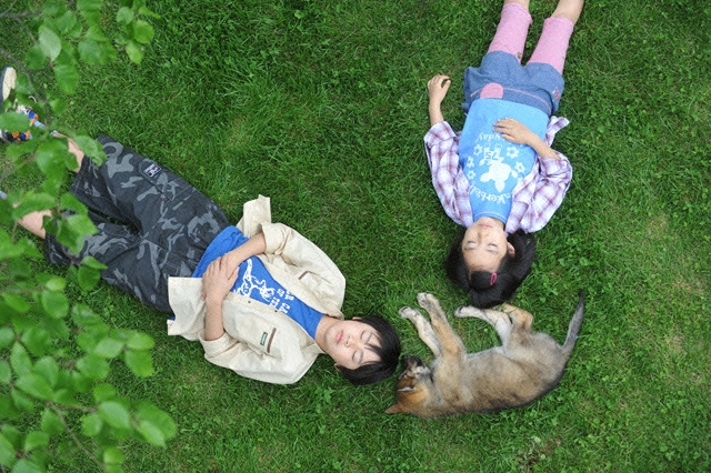 Tv 鈴木先生 11 について 映画データベース Allcinema