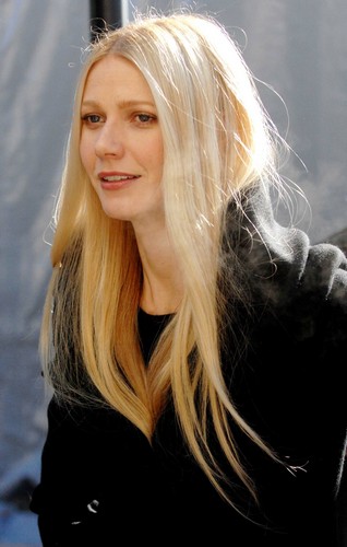 グウィネス パルトロー Gwyneth Paltrow について 映画データベース Allcinema